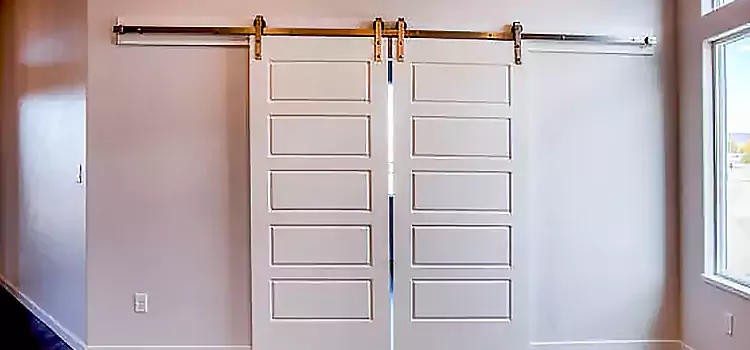 Glass Barn Door with Installation Hardware Kit Johnstown