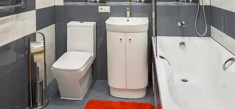 Hansgrohe Shaving Mirror Johnstown
